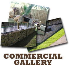 Commercial Gallery